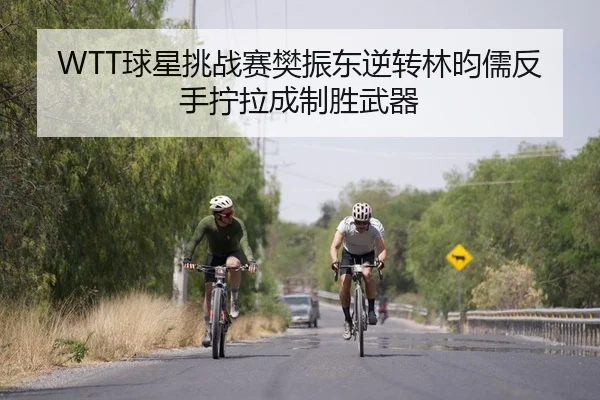 WTT球星挑战赛樊振东逆转林昀儒反手拧拉成制胜武器